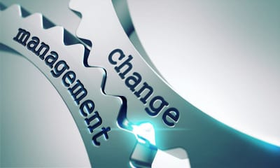 Implementing Business Change